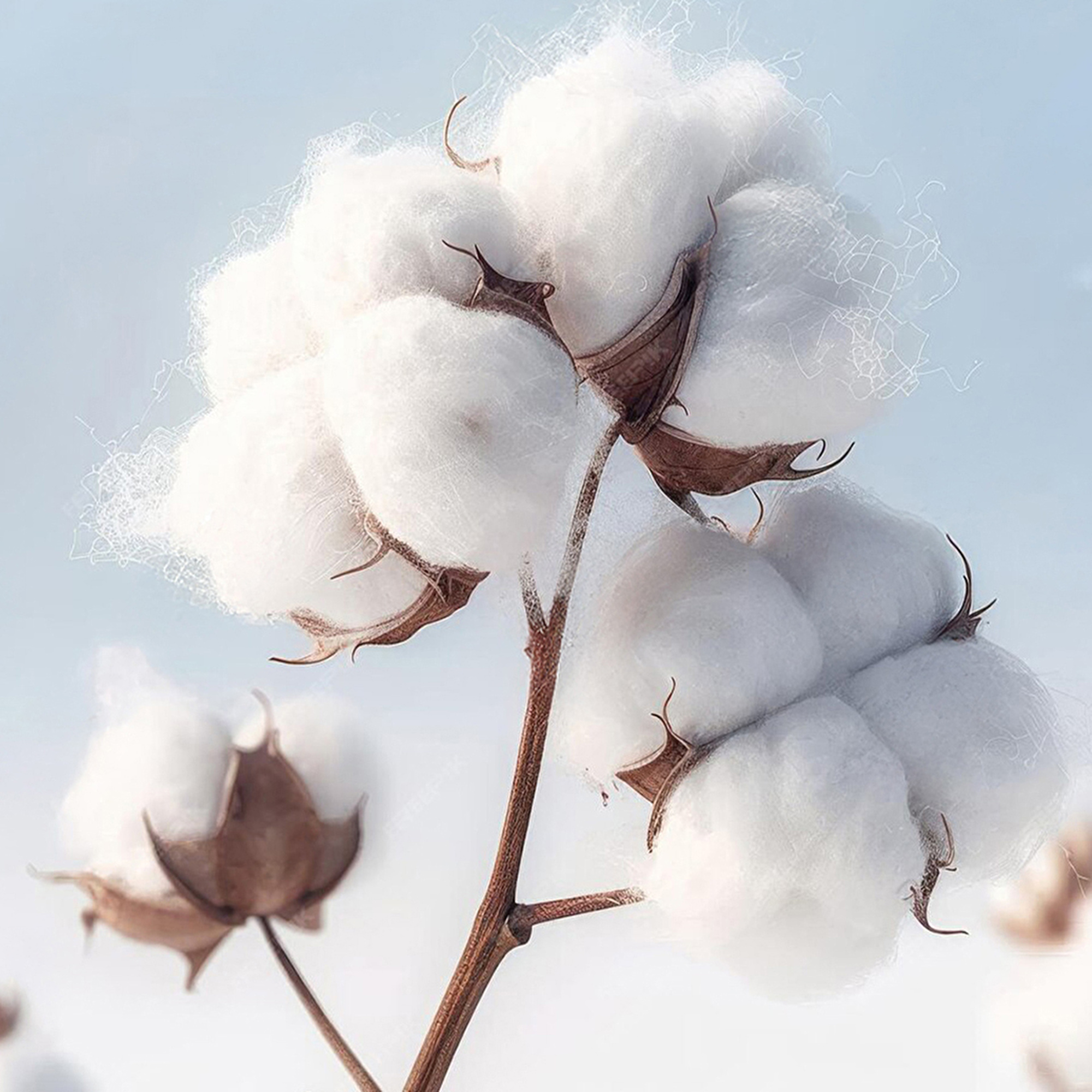 Extra comfortabel door de lichte constructie en katoenen stof