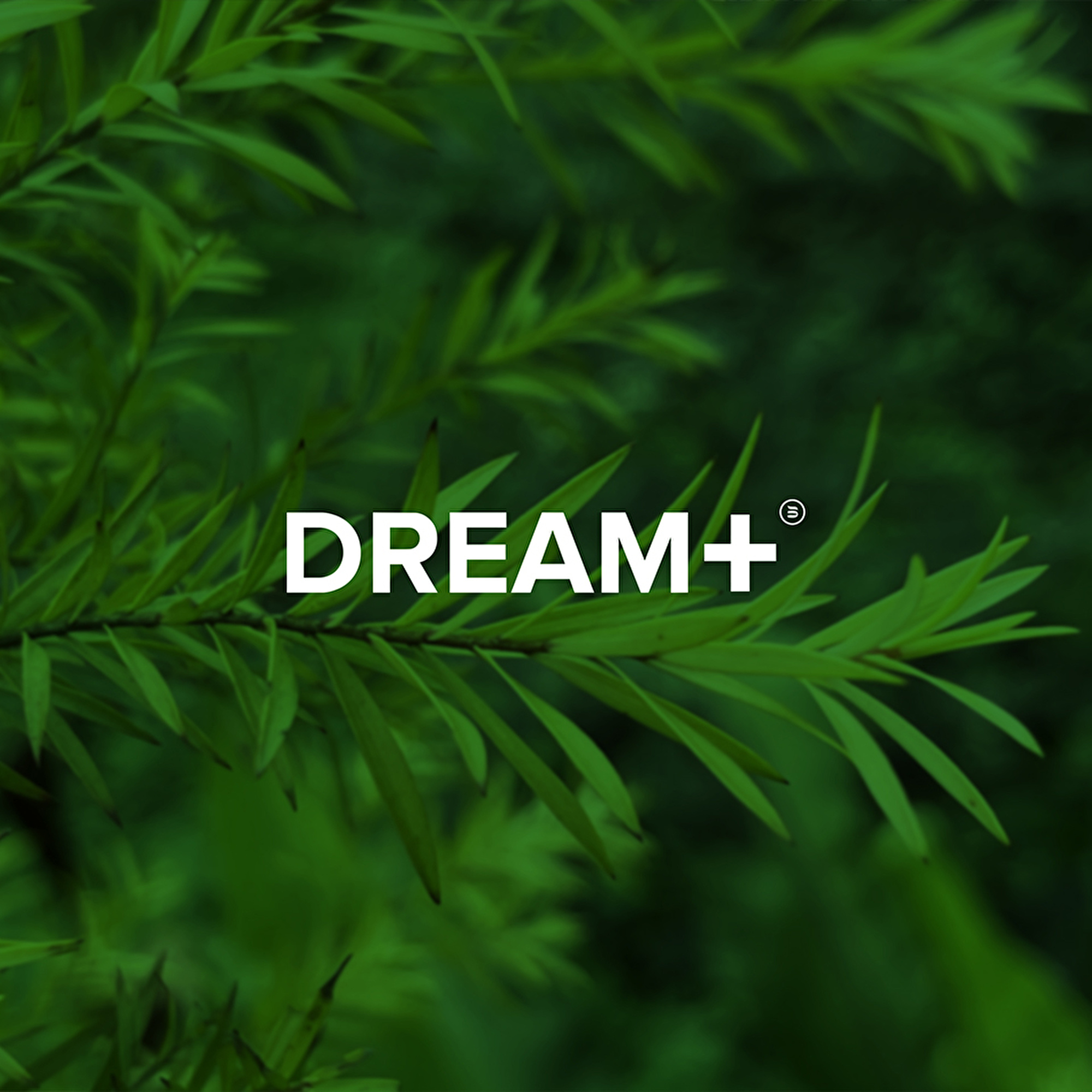 Dream+™-stof