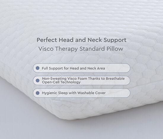 Visco Therapy Standard Pillow