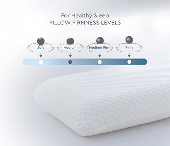 Visco Therapy Standard Pillow