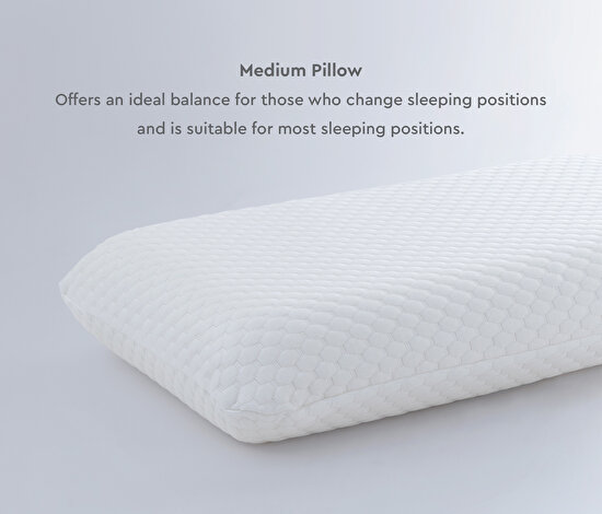 Visco Therapy Standard Pillow