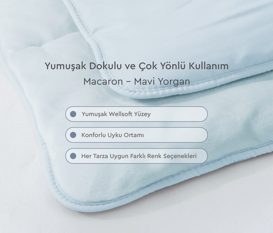 Macaron Wellsoft