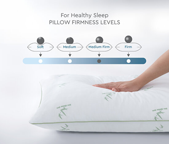 Bamboo 2-Piece Pillow