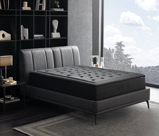 Black Ice 3'lü Set
