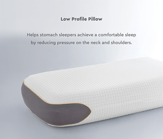 Visco Therapy Gel Pillow