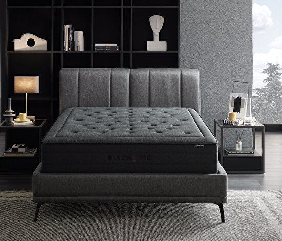 Black Ice 3'lü Set