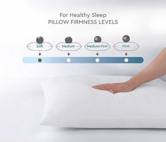 Handy 2-Pack Pillow