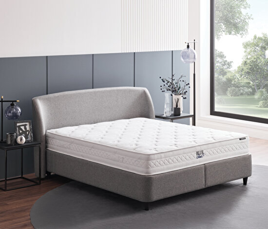 Blue Star & New Canto 3lü Set