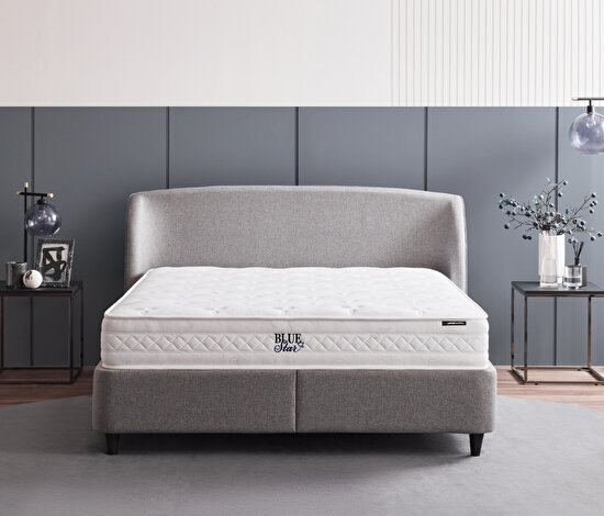 Blue Star & New Canto 3lü Set