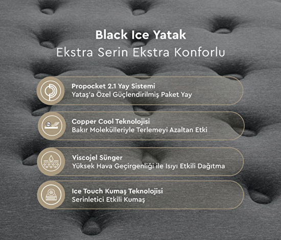 Black Ice