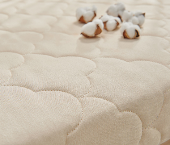 Cottonia