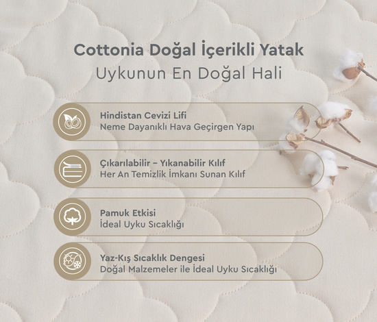 Cottonia