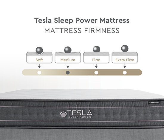 Tesla Sleep Power