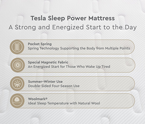 Tesla Sleep Power