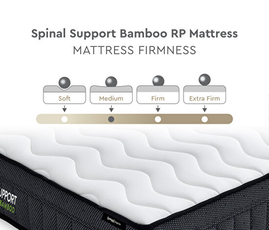 Spinal Support Bamboo
