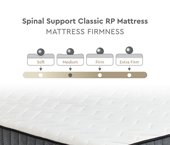 Spinal Support Classic