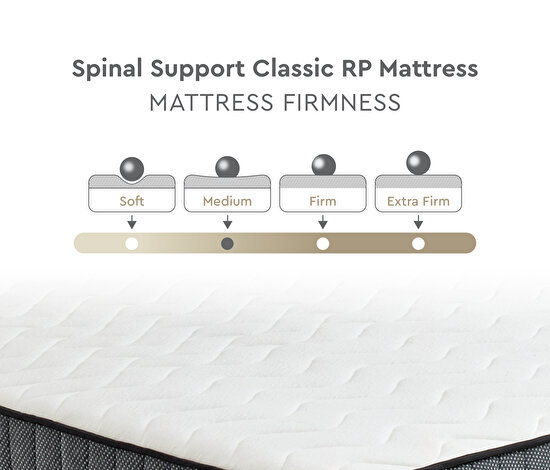 Spinal Support Classic