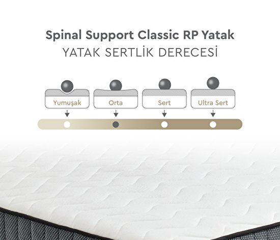Spinal Support Classic