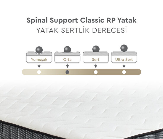 Spinal Support Classic