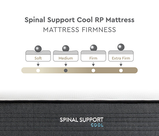 Spinal Support Cool