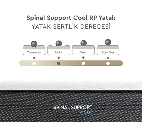 Spinal Support Cool