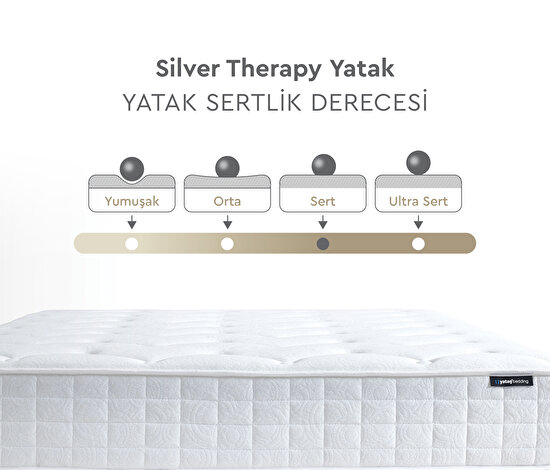 Silver Therapy