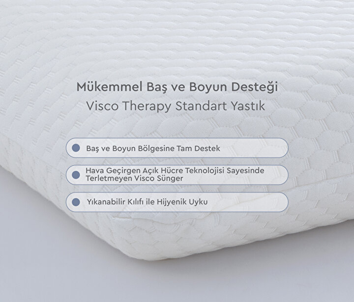 Visco Therapy Standard Pillow