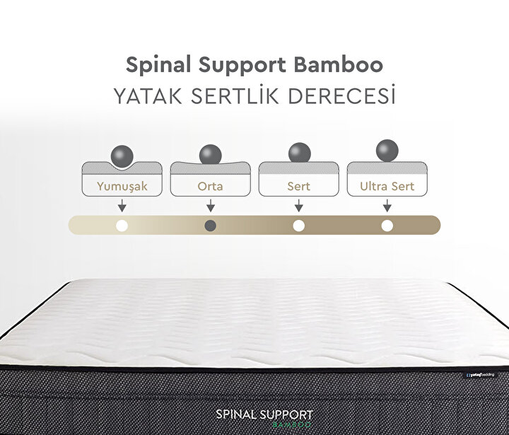 Spinal Support Bamboo