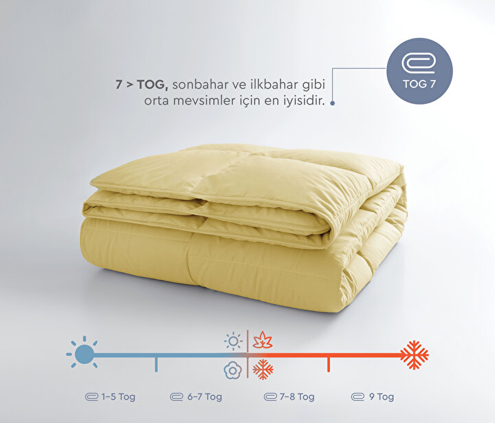 Penny - Yellow Quilt