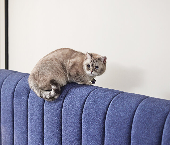 Lento & Somni Dual Set