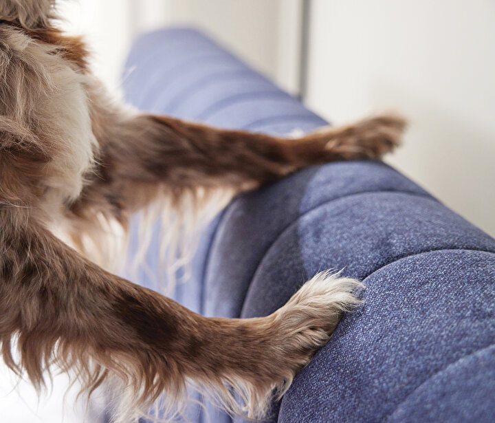 Lento & Somni Dual Set