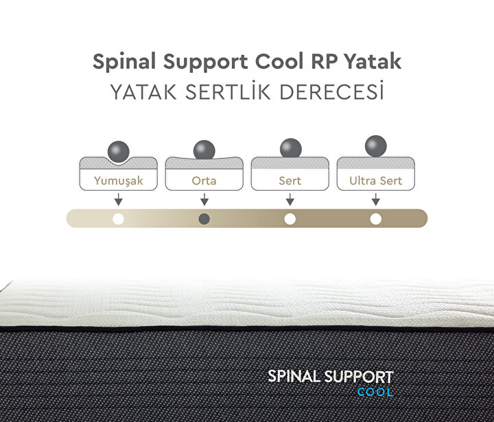 Spinal Support Cool