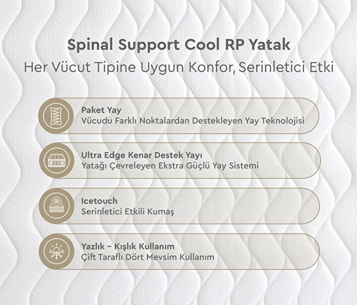Spinal Support Cool