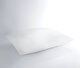Handy 2-Pack Pillow