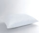 Lucy Pillow