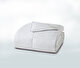 Deluxe Down Quilt