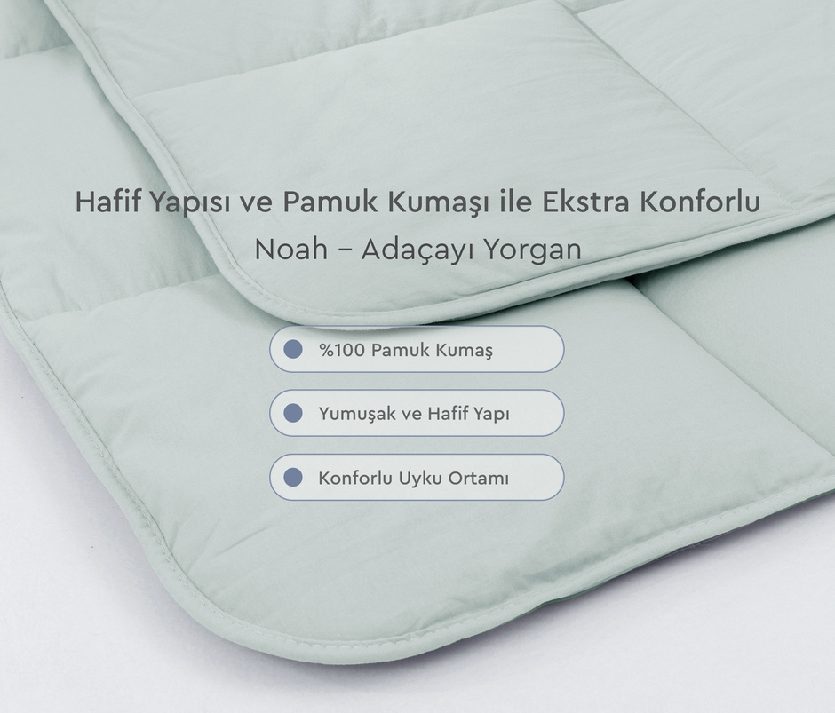 Noah Quilt - Sage